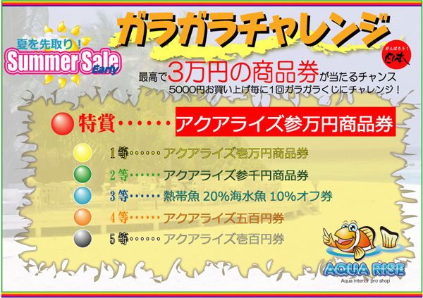 2012early-summerガラガラ本.jpg