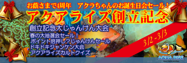 201302opensale_banner.jpg