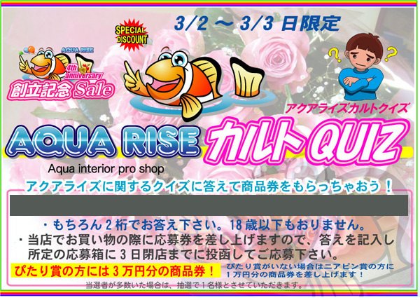 アクアライズクイズ2013創立.jpg