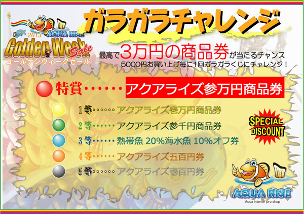 ガラガラ2013GW.jpg