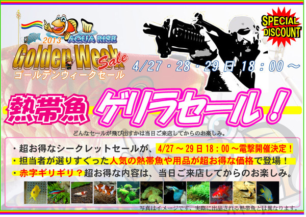 ゲリラ2013GW.jpg