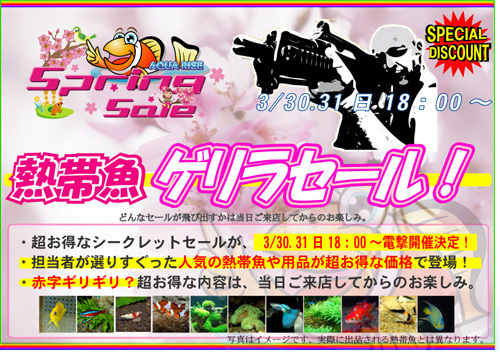 ゲリラ2013spring.jpg