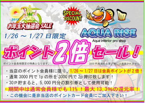 ポイント倍押し2013お年玉大.jpg