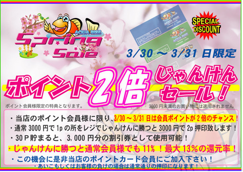 ポイント倍押し2013spring.jpg
