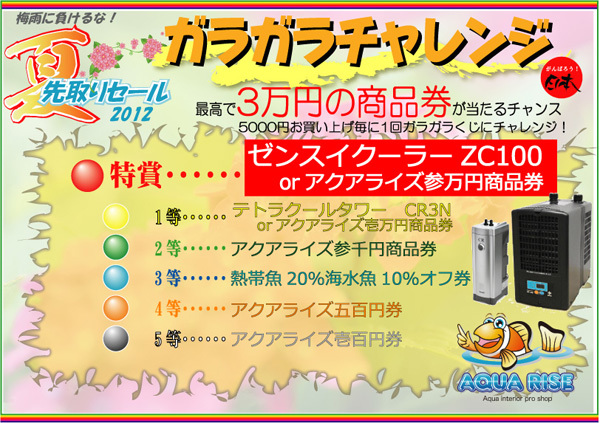 夏先取り2012ガラガラ本.jpg