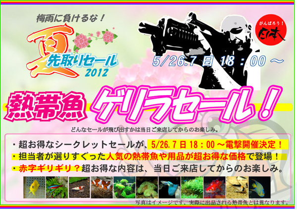 夏先取り2012ゲリラ.jpg