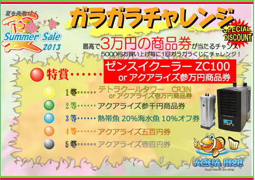 夏先取り2013ガラガラ本.jpg