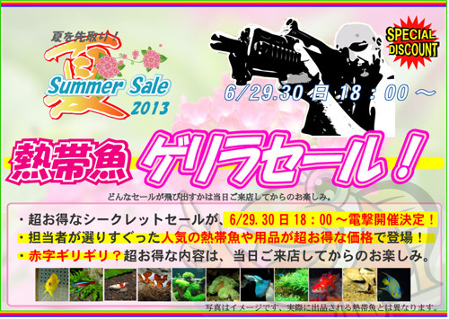 夏先取り2013ゲリラ.jpg