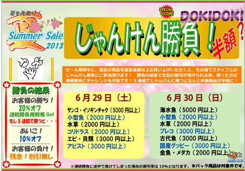 夏先取り2013ドキドキ.jpg