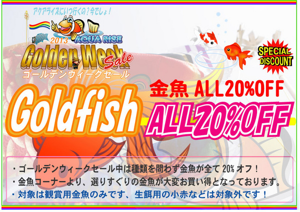 金魚20%オフ2013GW.jpg