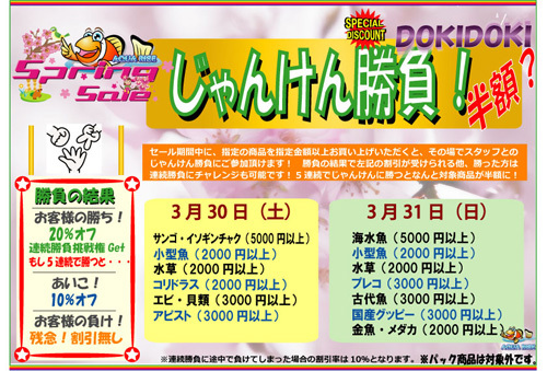dokidoki2013スプリング.jpg