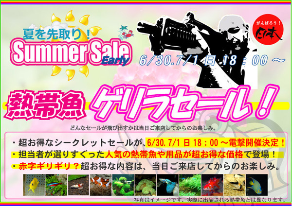 earlysummer2012ゲリラ本.jpg
