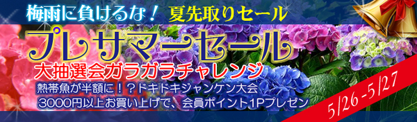 top_banner1.jpg