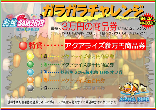2019お盆ガラガラ本.jpg