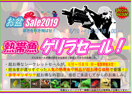 2019お盆ゲリラ.jpg