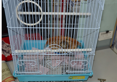 DSC_1142a.jpg