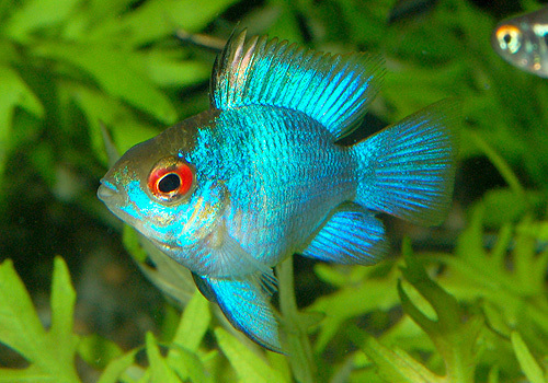 DSC_4461aa.jpg