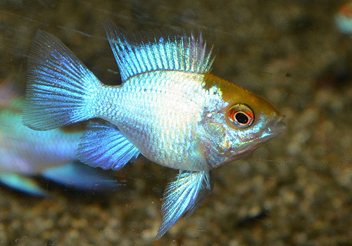 DSC_4597.jpg