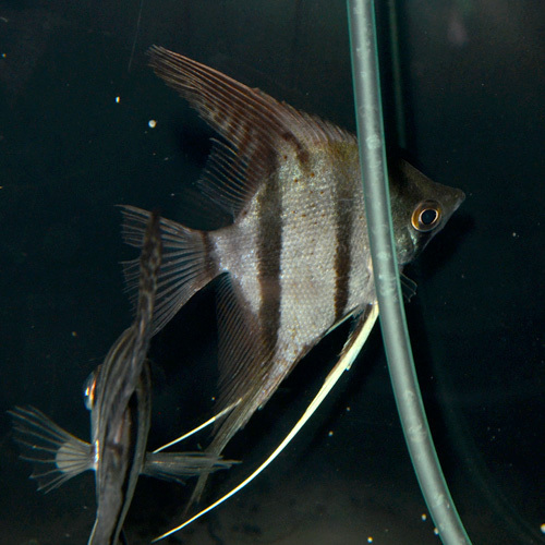 DSC_5218.jpg