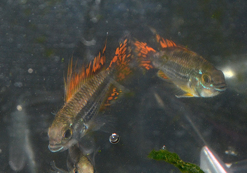 DSC_5232.jpg