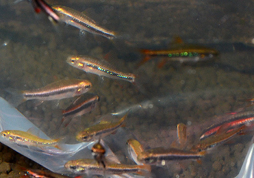 DSC_5269.jpg