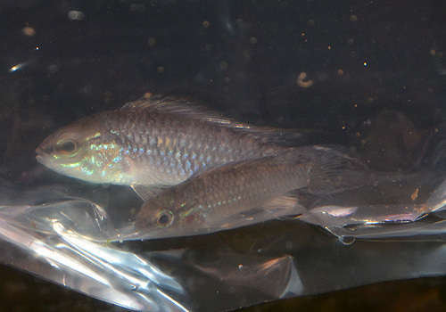 DSC_5460.jpg