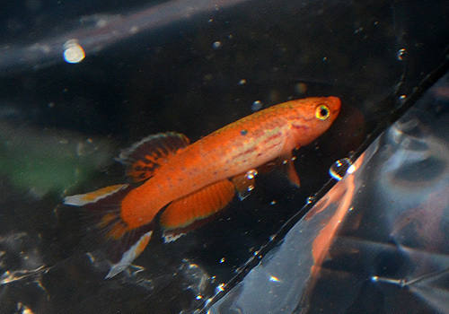 DSC_5467.jpg