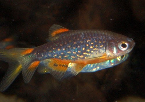 DSC_7345aaa.jpg
