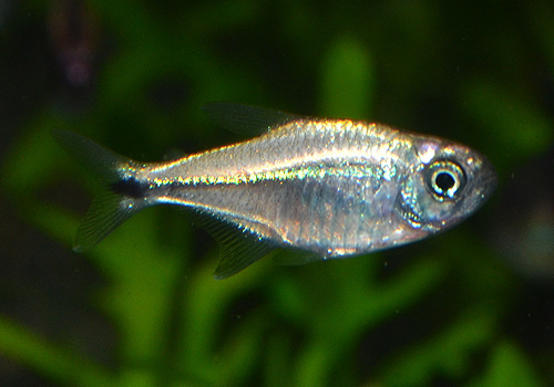 DSC_9861.jpg