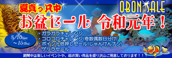 banner_obonsale.jpg